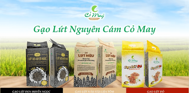 Công ty TNHH Cỏ May