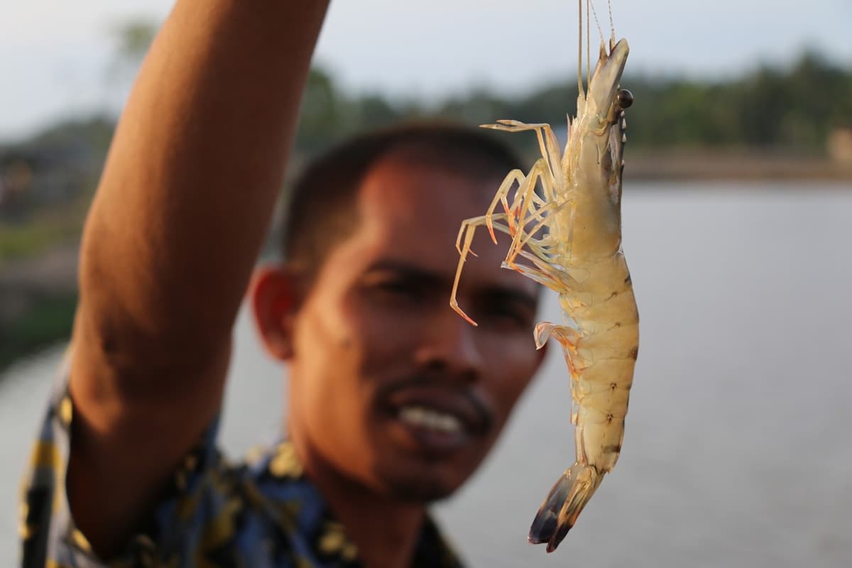 HTX Tài Thịnh Phát Farm