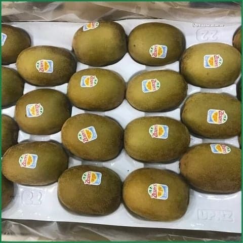 Kiwi vàng New Zealand - Ảnh 2