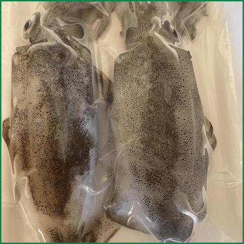 Mực tươi - Ảnh 3