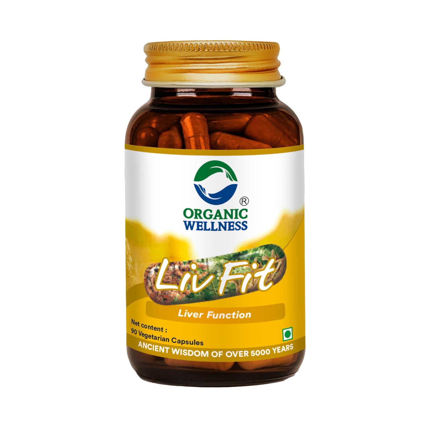 Liv Fit 90 N Veg Capsules | Công Thức Thải Độc & Phục Hồi Gan Nhiễm Mỡ | Cho Lá Gan Khỏe Mạnh || Viên Uống Tốt Nhất Cho Gan - Ảnh 1