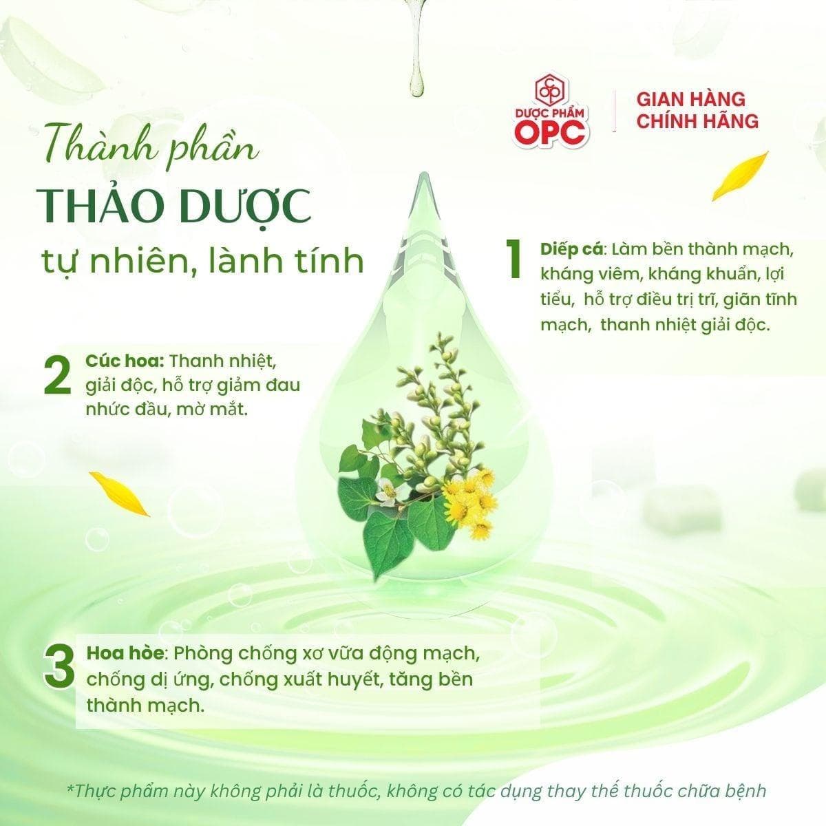 TPBVSK. TRÀ RUTON (Túi zip 50 gói) - Ảnh 2